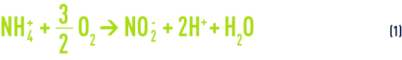 Formula: ammonium converted into nitrites, nitritation