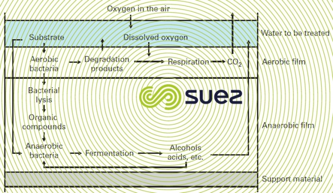 Activated sludge process versus rotating biological contactors in