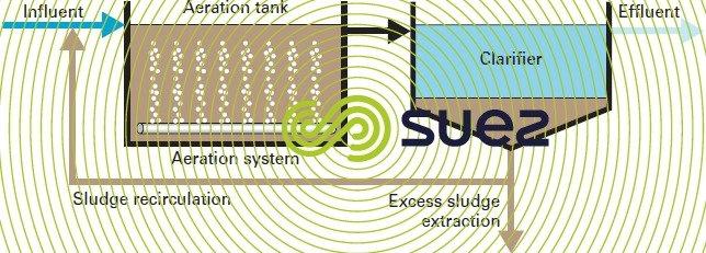 Top 3 Equations for Activated Sludge…