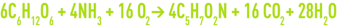 Formula: oxygen requirements and excess sludge production  - synthesis