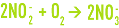 Formula: nitrification -Nitrobacter genus