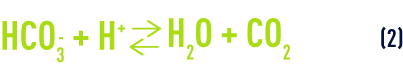 Formula: Aluminium salts - bicarbonate ions