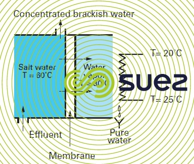 Distillation membrane