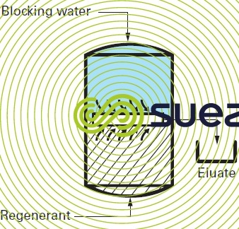 Water blocking ion exchangers