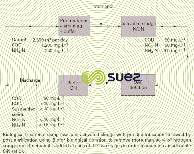 Biotechnology – Biotalia – Lysine