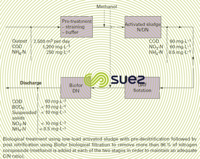 Biotechnology – Biotalia – Lysine 