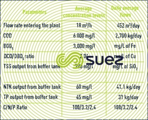 raw effluent plant inlet