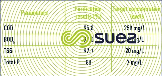 Purification results