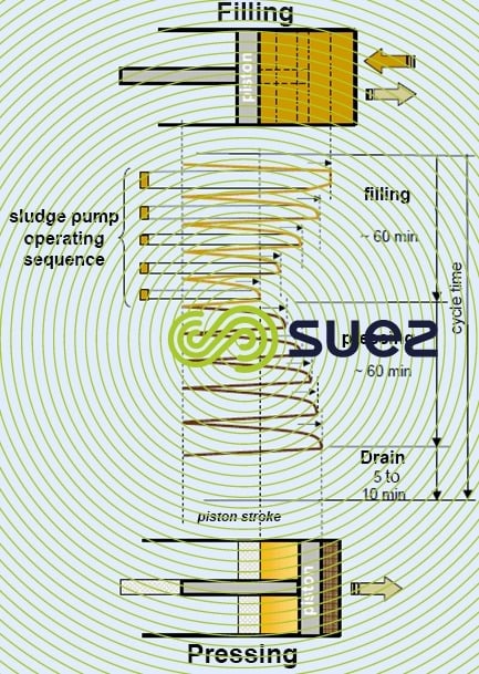 various stages cycle