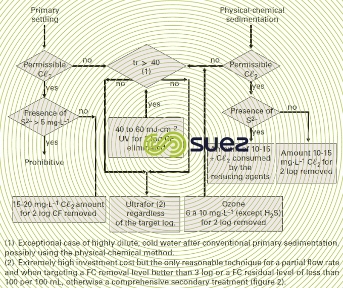 Disinfecting primary wastewater