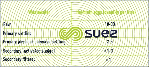 Helminth egg  municipal wastewater