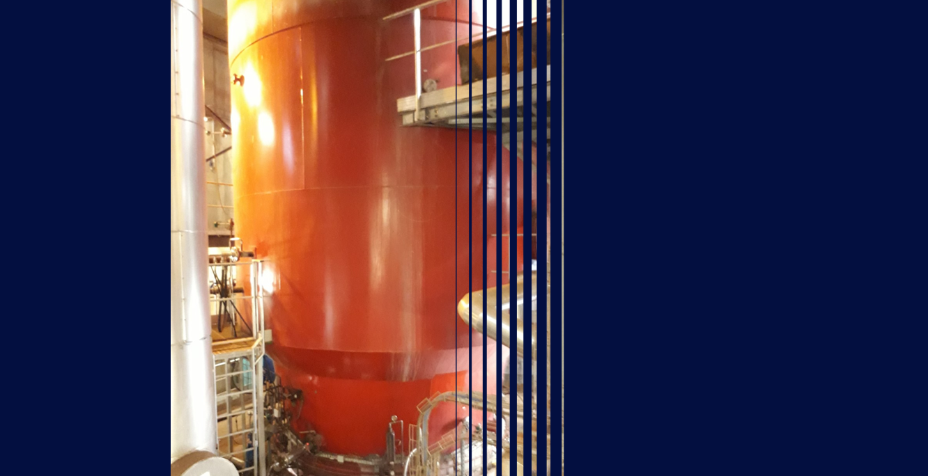 Sludge incineration with flexible fluidized bed - Thermylis® Flex